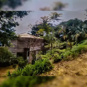 Jungle Tree House Rangala Bed & Breakfast Kandy